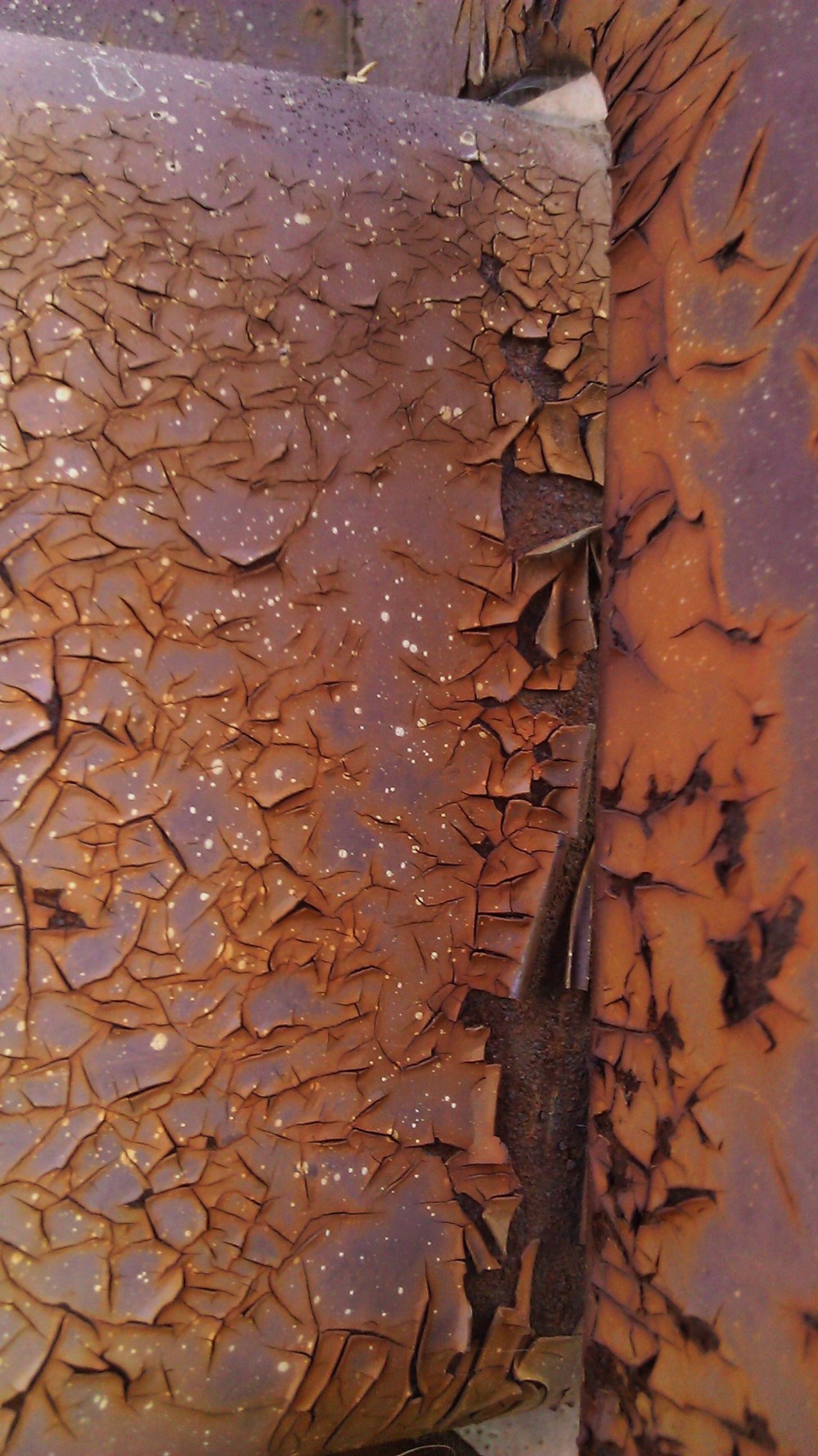 Tanya Mikulas, photographer, oxidation, IMAG5508