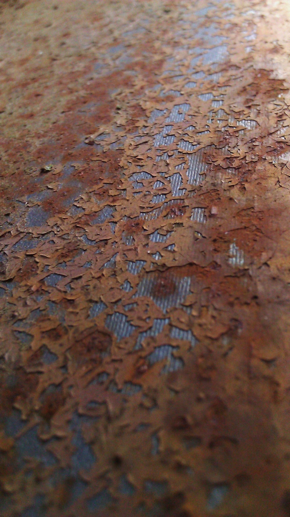 Tanya Mikulas, photographer, IMAG5558 oxidation