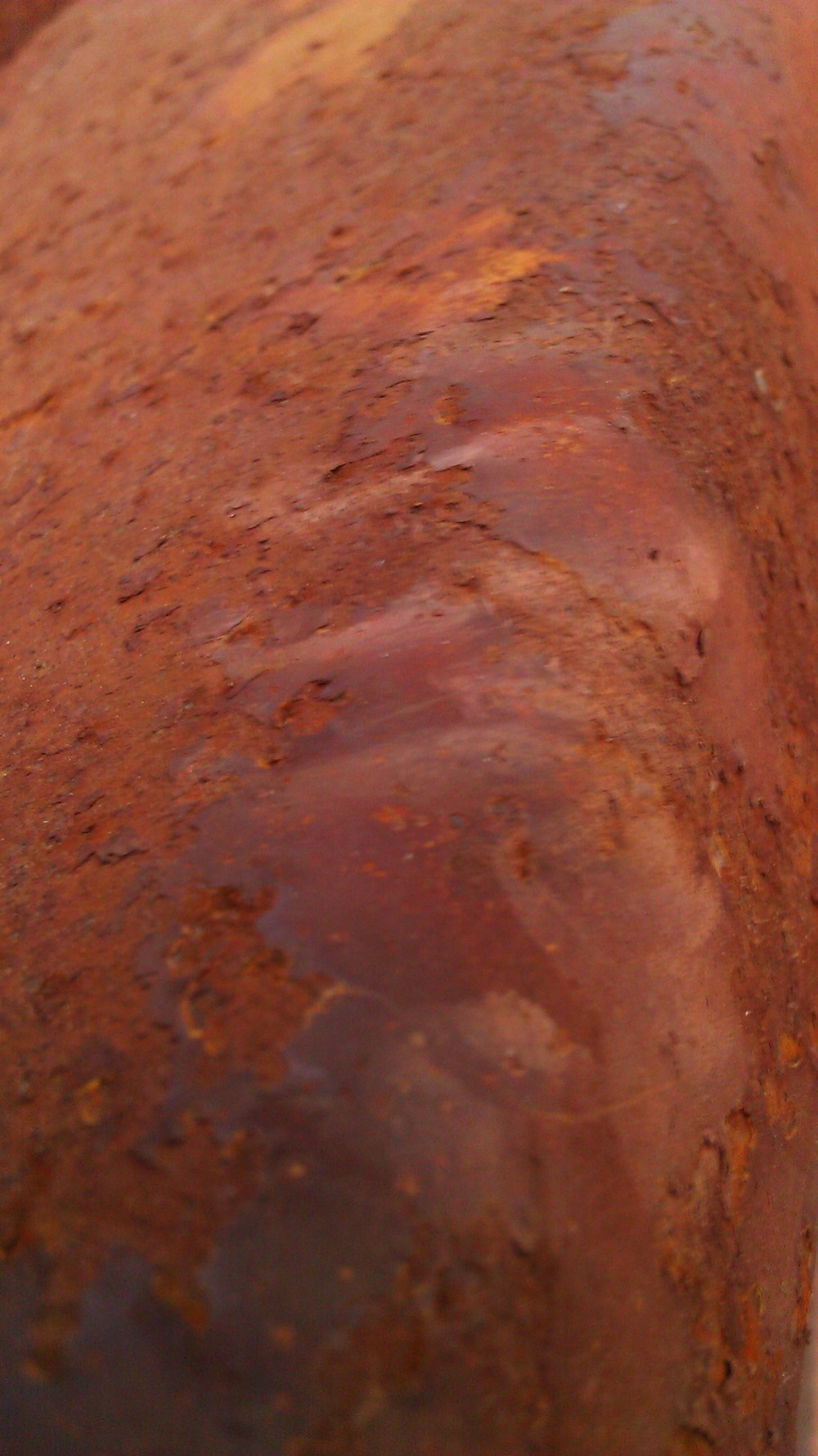 Tanya Mikulas, photographer, IMAG5580